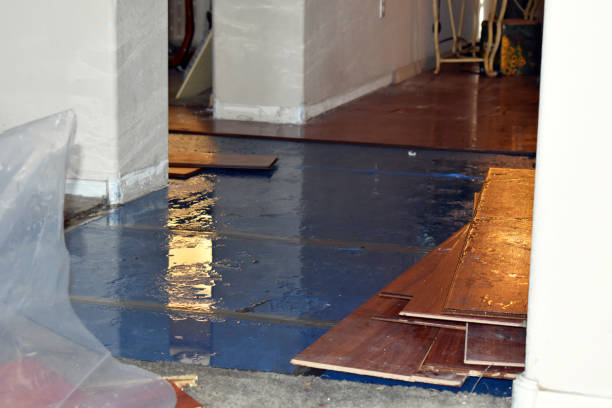 Professional Structural Drying technician working in Rhome, TX